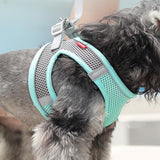 Reflecto Harness™: The Ultimate Safety Gear for Your Furry Friend