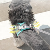 Reflecto Harness™: The Ultimate Safety Gear for Your Furry Friend